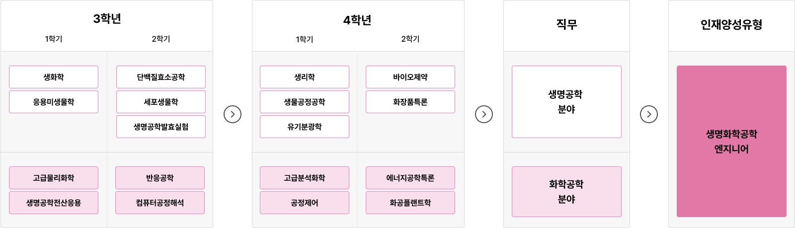 3학년과 4학년의 학기별 전공 과목과 졸업 후 진로를 소개하는 학습 로드맵.
3학년 1학기에는 생화학, 응용미생물학, 고급물리화학, 생명공학전산응용을 수강하고,
3학년 2학기에는 단백질효소공학, 세포생물학, 생명공학발효실험, 반응공학, 컴퓨터공정해석 과목을 배운다.
4학년 1학기에는 생리학, 생물공정공학, 유기분광학, 고급분석화학, 공정제어 과목을 수강하고,
4학년 2학기에는 바이오제약, 화장품특론, 에너지공학특론, 화공플랜트학을 배운다.
졸업 후에는 생명공학 분야 또는 화학공학 분야로 진출할 수 있으며,
생명화학공학 엔지니어로 성장할 수 있도록 교육과정이 구성되어 있다.